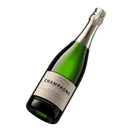 Champagne Wine Bottle 1